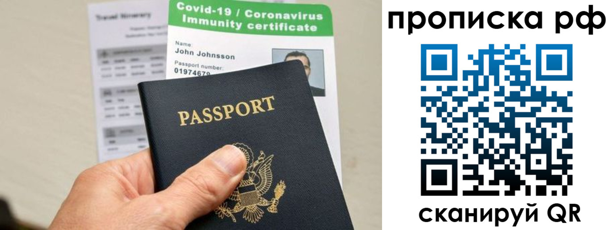 временная регистрация для школы в Светлогорске