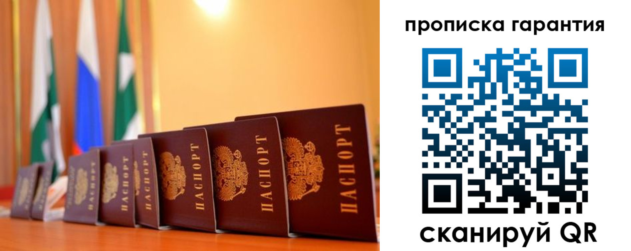 прописка гарантия в Светлогорске